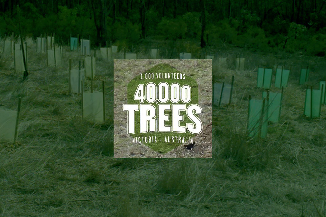 Logo for the 40 000 Trees Project