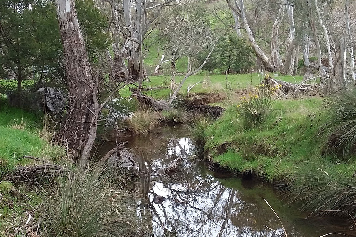 Barkers creek restoration