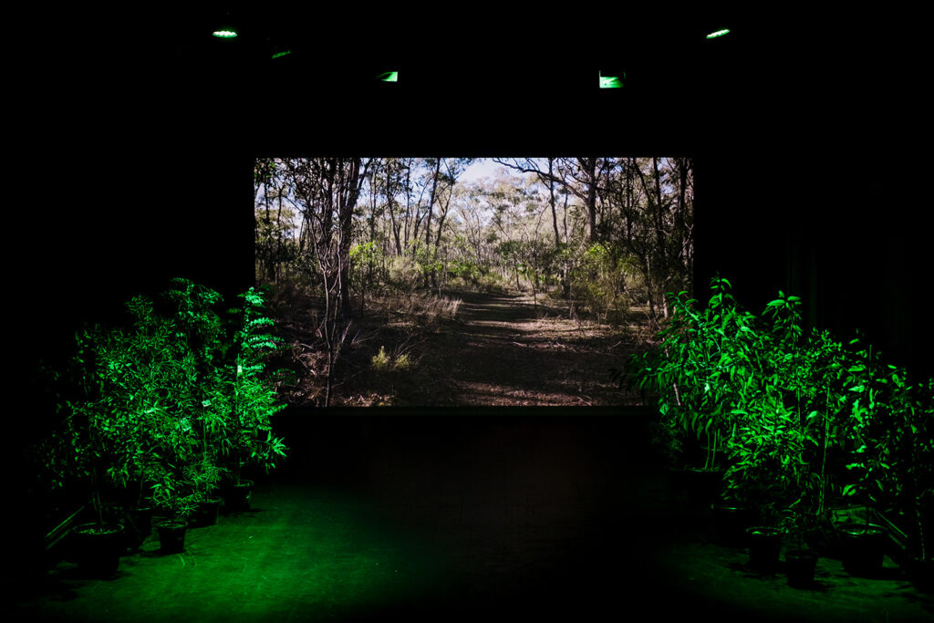 A still from the Taking Root listening event held at the Phee Broadway - Castlemaine.