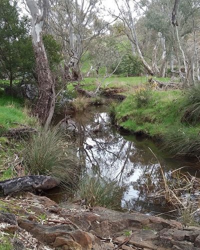 Barkers Creek